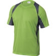 DELTA BALI - Dvobojna T-shirt majica s kratkim rukavima, okrugli ovratnik. Materijal 100% poliester 160 g/m² sa obradom za brzo sušenje.
BOJA: Crvena-Siva, Siva-Tamnoplava, Crna-Žuta, Zelena-Siva(na slici).